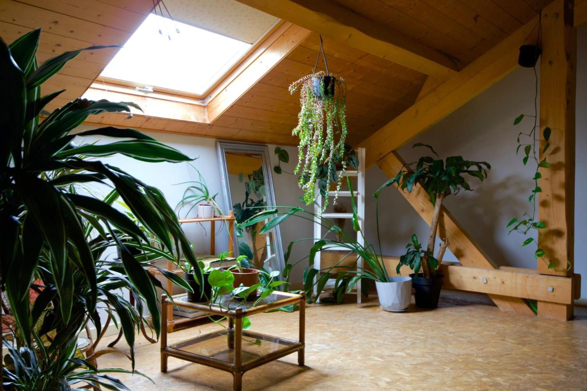 Loft Haut De Gamme Entre Verdure Et Ville Chaudefontaine  Exterior photo